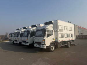 Sinotruk 4*2 Light-type Day-old Chick Broiler Transport Truck