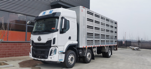 Dongfeng Chenglong 3-osiowa ciężar&oacute;wka do transportu bydła