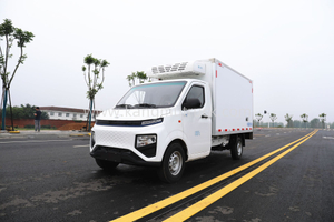 Geely F1E Pure Electric Φορτηγό Ψυγείο