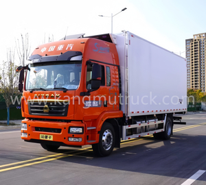 Camion frigorifero Sinotruk 290HP